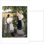 The Cherry Pickers, 1894 by Hermann Seeger