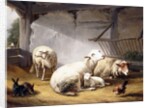 Sheep, Rabbits and a Chicken in a Barn, 1859 by Eugene Joseph Verboeckhoven