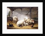 Sheep, Rabbits and a Chicken in a Barn, 1859 by Eugene Joseph Verboeckhoven