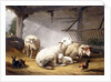 Sheep, Rabbits and a Chicken in a Barn, 1859 by Eugene Joseph Verboeckhoven