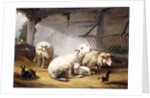 Sheep, Rabbits and a Chicken in a Barn, 1859 by Eugene Joseph Verboeckhoven