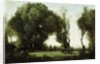 Danse des Nymphes by Jean Baptiste Camille Corot