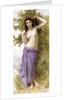 Roman Beauty, 1904 by William-Adolphe Bouguereau