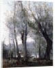 A Barge passing beind Trees on the Shore, 1865-70 by Jean Baptiste Camille Corot