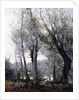 A Barge passing beind Trees on the Shore, 1865-70 by Jean Baptiste Camille Corot