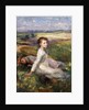 Summer in the Fields by George Clausen