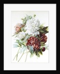 A Bouquet of Red, Pink and White Peonies by Pierre Joseph Redouté