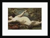 Reclining Nude with Tambourine by Etienne Leroy