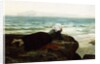 Looking out to Sea, 19th century by Jules Breton