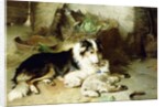 Motherless-The Shepherd's Pet, 1897 by Walter Hunt