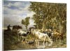 Herd of Cows at a Drinking Pool by Charles Emile Jacque