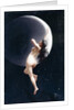 The Moon Nymph, 1883 by Luis Riccardo Falero