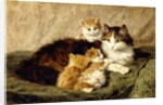 Contentment, 1900 by Henriette Ronner-Knip