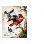 Four Birds in Wood by Herman Henstenburgh