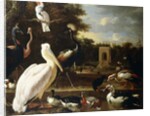 Many Different Types of Birds at a Pool in a Park by Melchior de Hondecoeter
