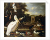 Many Different Types of Birds at a Pool in a Park by Melchior de Hondecoeter