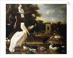 Many Different Types of Birds at a Pool in a Park by Melchior de Hondecoeter