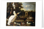 Many Different Types of Birds at a Pool in a Park by Melchior de Hondecoeter