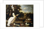 Many Different Types of Birds at a Pool in a Park by Melchior de Hondecoeter