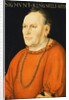 Portrait of Sigmunt Kingsfelt, half-length, wearing a red costume by Lucas the Elder Cranach