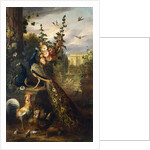 Two Peacocks on a Stone Plinth in a Garden by Jakob Bogdani or Bogdany