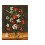 Carnations in a glass Vase on a stone Table, 1639 by Phillipe de Marlier