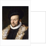 Portrait of a Bearded Gentleman by Italian School