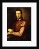 Portrait of Francesco I d'Medici seated half-length, wearing a Doublet with Slashed Sleeves by Alessandro Allori