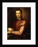 Portrait of Francesco I d'Medici seated half-length, wearing a Doublet with Slashed Sleeves by Alessandro Allori
