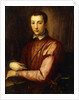 Portrait of Francesco I d'Medici seated half-length, wearing a Doublet with Slashed Sleeves by Alessandro Allori