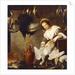 La Cuoca - A Kitchen Maid Plucking a Goose in an Interior by Bernardo Strozzi