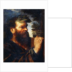 Head of a Sage by Pier Francesco Mola