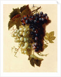 Bunches of Green and Red Grapes suspended from a Rope, c.1796 by Joseph-Laurent Malaine