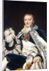 Portrait of Count Francais de Nantes by Jacques Louis David