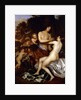 Venus and Adonis by Jan Mytens
