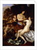 Venus and Adonis by Jan Mytens
