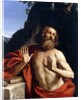 Saint Jerome in the Wilderness by Guercino