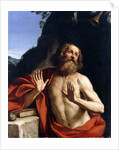 Saint Jerome in the Wilderness by Guercino