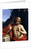 Saint Jerome in the Wilderness by Guercino