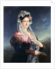 Portrait of Dona Maria de los Dolores Gomez de las Casas e Ibarrondo, the First Marquise of Ulagares by Jose Camaron