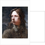 A Young Man by Michael Sweerts