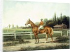A Chestnut Racehorse with Jockey Up on a Training Track with Stables Beyond by Henry H. Cross