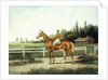 A Chestnut Racehorse with Jockey Up on a Training Track with Stables Beyond by Henry H. Cross
