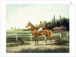 A Chestnut Racehorse with Jockey Up on a Training Track with Stables Beyond by Henry H. Cross