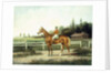 A Chestnut Racehorse with Jockey Up on a Training Track with Stables Beyond by Henry H. Cross