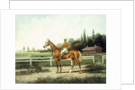 A Chestnut Racehorse with Jockey Up on a Training Track with Stables Beyond by Henry H. Cross