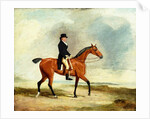 Francis Const on his Bay hunter Riding near the Sea, 1806 by Benjamin Marshall