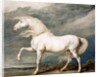 Adonis, King George III's Favourite Charger by James Ward