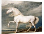 Adonis, King George III's Favourite Charger by James Ward