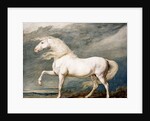 Adonis, King George III's Favourite Charger by James Ward